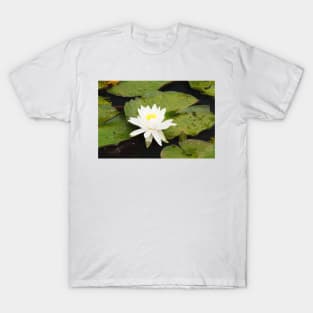 Water lily T-Shirt